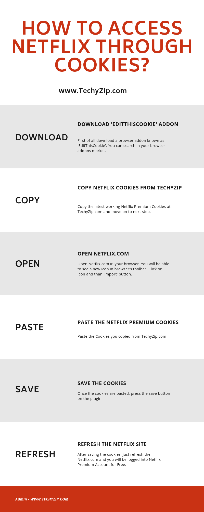 Infographic By TechyZip on How To Access Netflix Free through Cookies