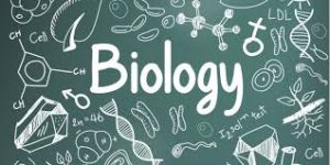 Biology NCERT solutions