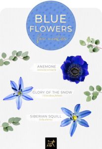 10 flowers name