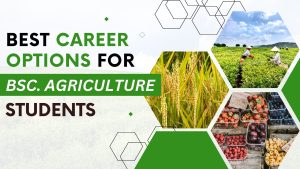 Understanding the Role of BSc Agriculture in Agribusiness